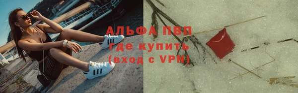 сатива Заволжье