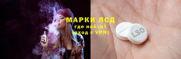 сатива Заволжье