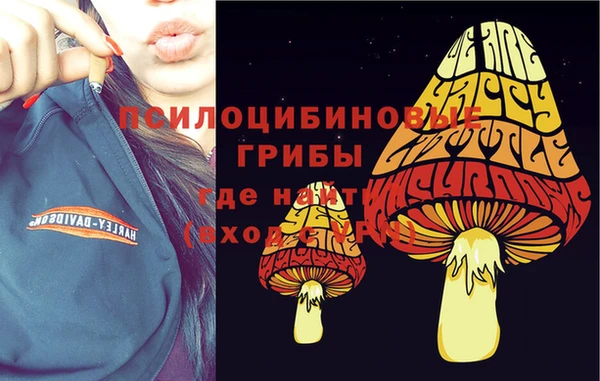 сатива Заволжье