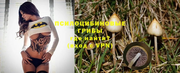 spice Заволжск