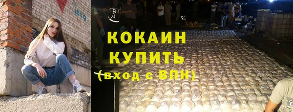 сатива Заволжье