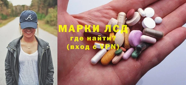 сатива Заволжье