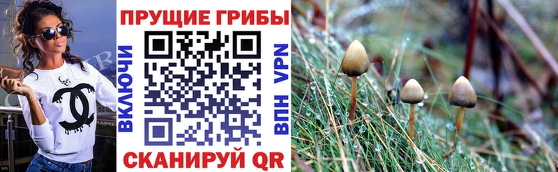 Псилоцибиновые грибы MAGIC MUSHROOMS  Купить  Калтан 
